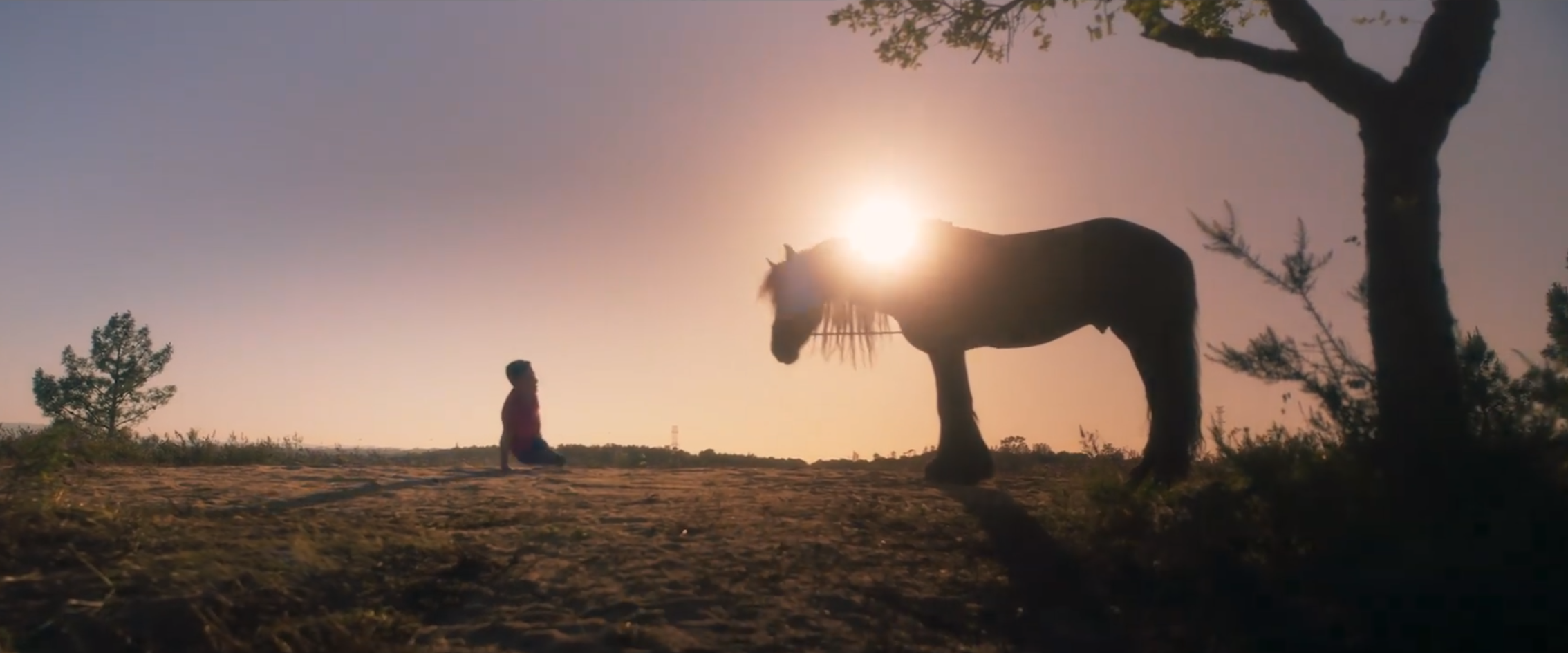 Filme “Sonhos” dos Paralímpicos conquista o Ouro em Cannes