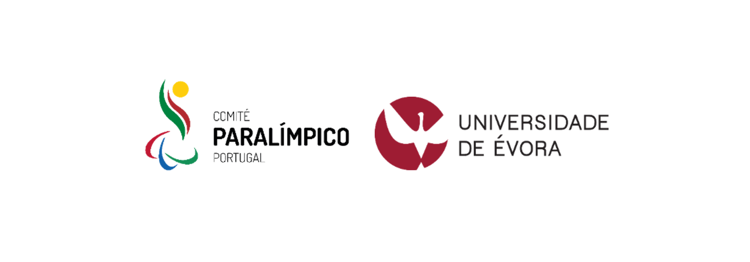Síntese de resultados do estudo “Percurso desportivo de atletas com deficiência no alto rendimento”
