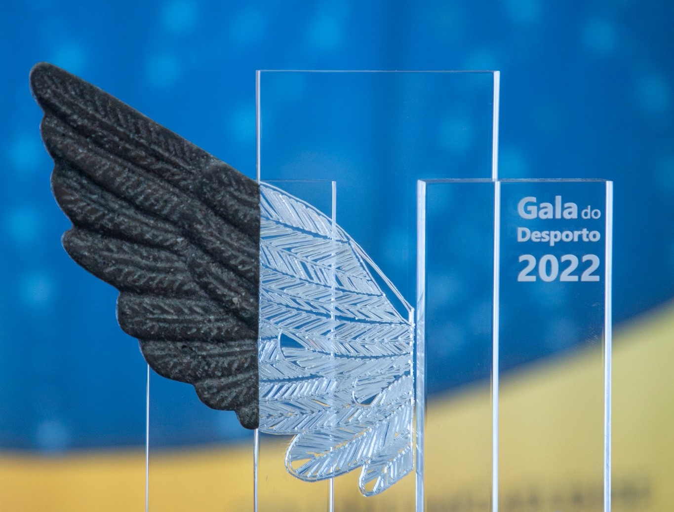 Câmara Municipal de Ponta Delgada promove 6.ª Gala do Desporto